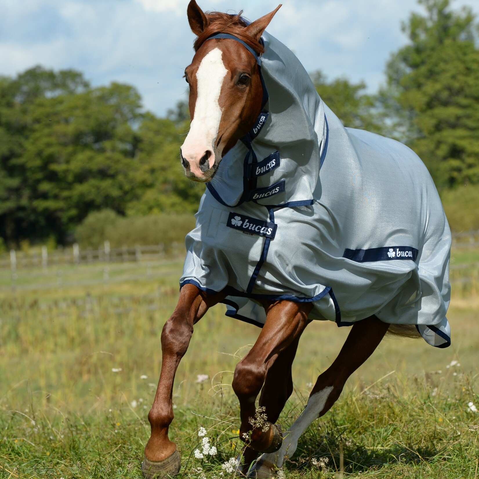 Bucas Bucas Buzz Off Fly Sheet (Comes with Full Neck Feature)