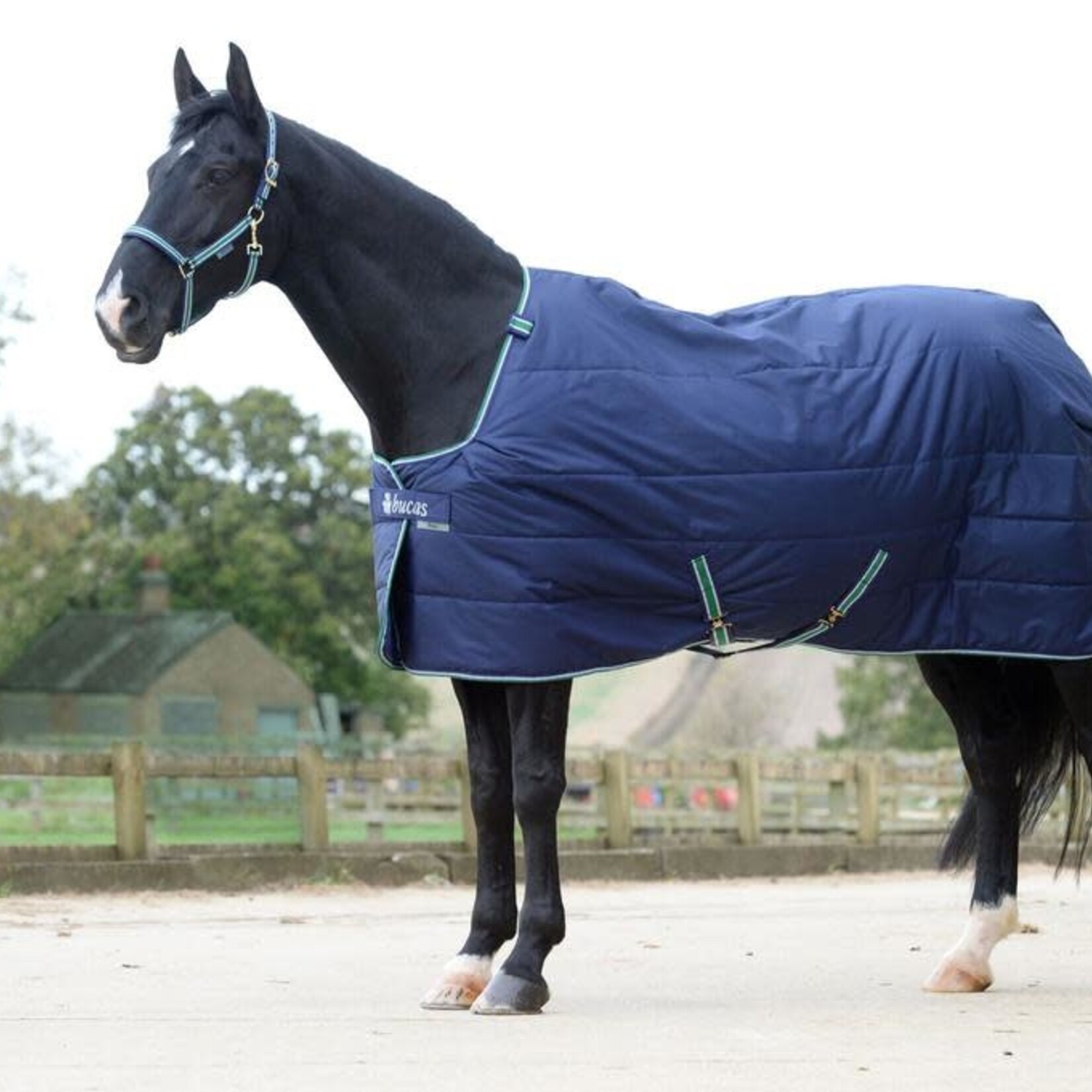Bucas Bucas Select Quilted Stable Blanket