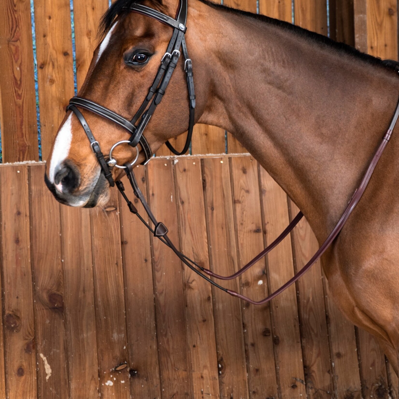Dy'on WOAAHL Dy’on Working Collection Flash Noseband Bridle