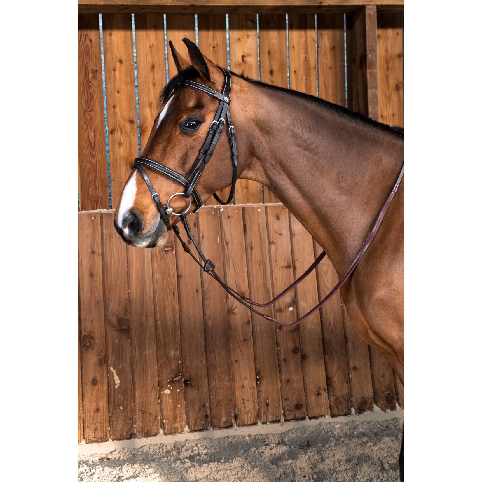 Dy'on WOAAHL Dy’on Working Collection Flash Noseband Bridle
