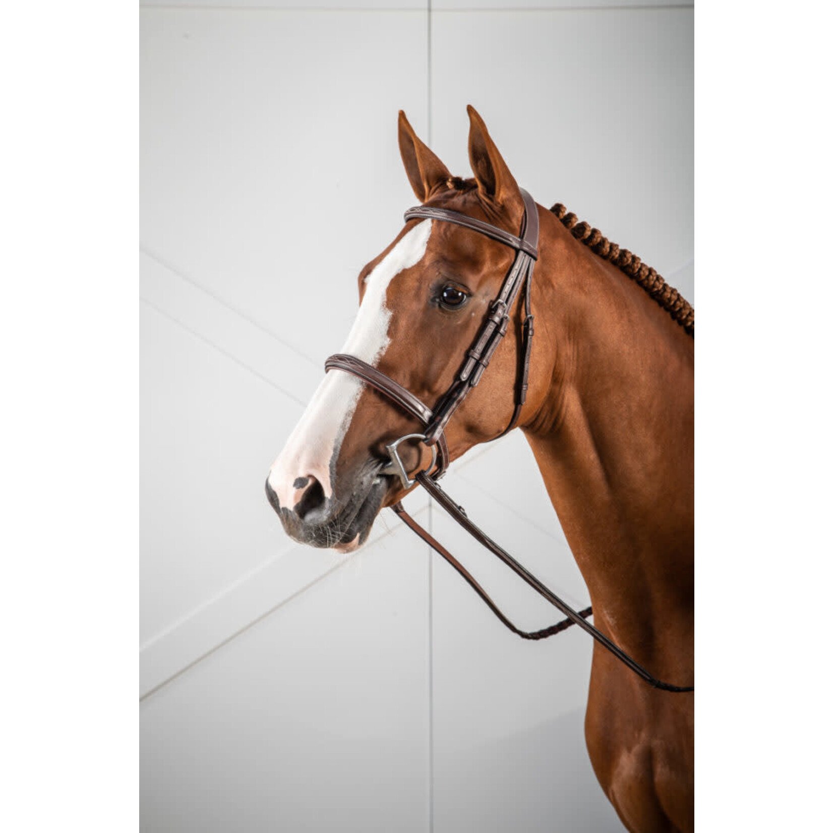 Dy'on USKOAK Dy’on Cavesson Hunter Noseband Bridle