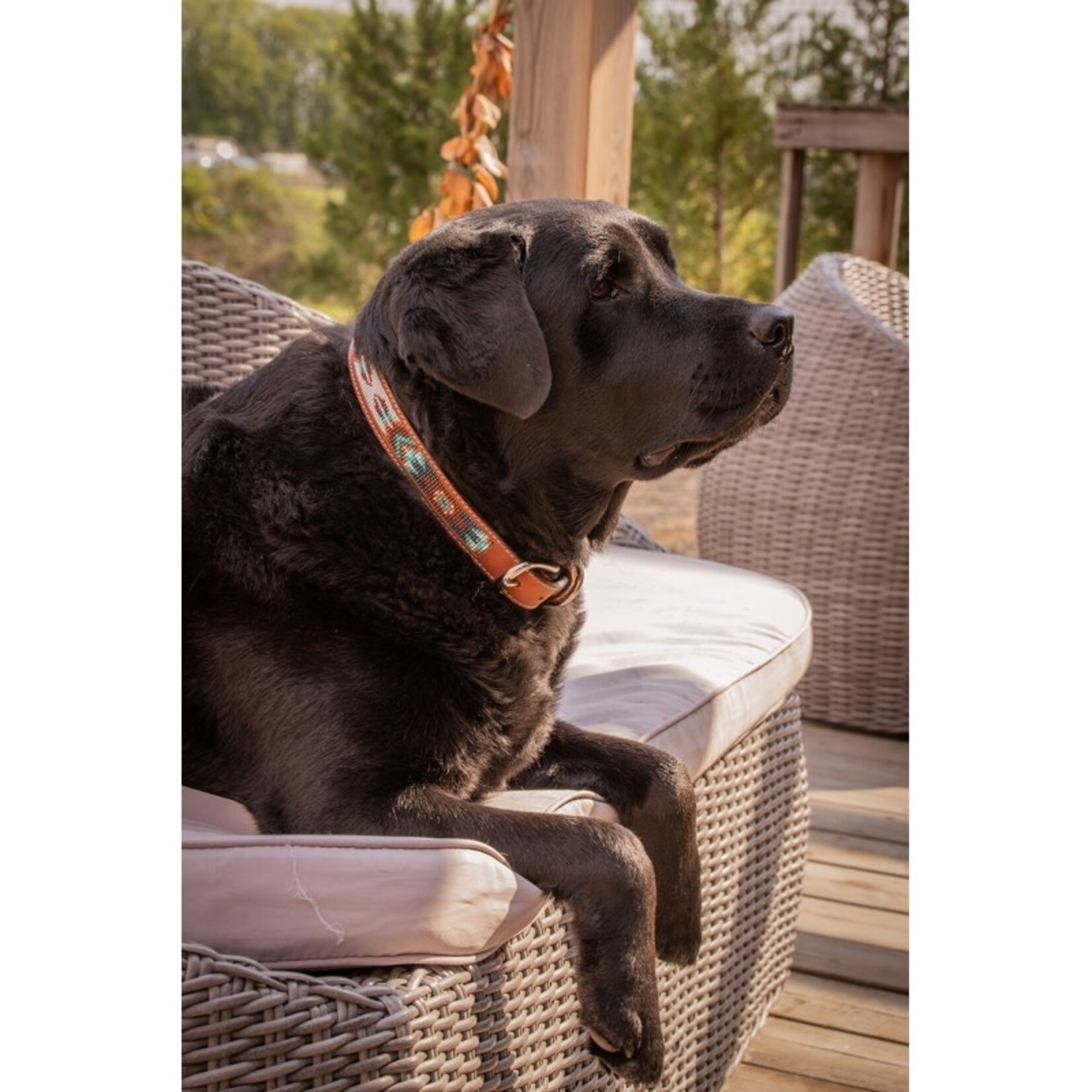 Penelope Pearl Dog Collar