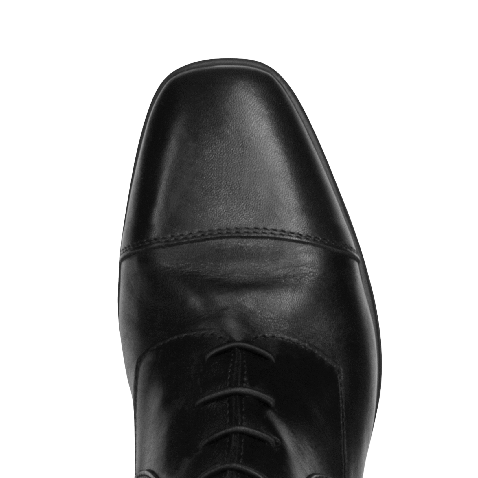 Parlanti Parlanti Dallas Pro Field Tall Boots. Superior quality Calf w/ Buffalo leather interior, Compact square toe, Back elastic insert, Back zipper, Flexible rubber/latex sole, Shock-absorbing technology, 6 month warranty