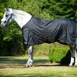 Back on Track 2142 Back On Track Classic Turnout Sheet