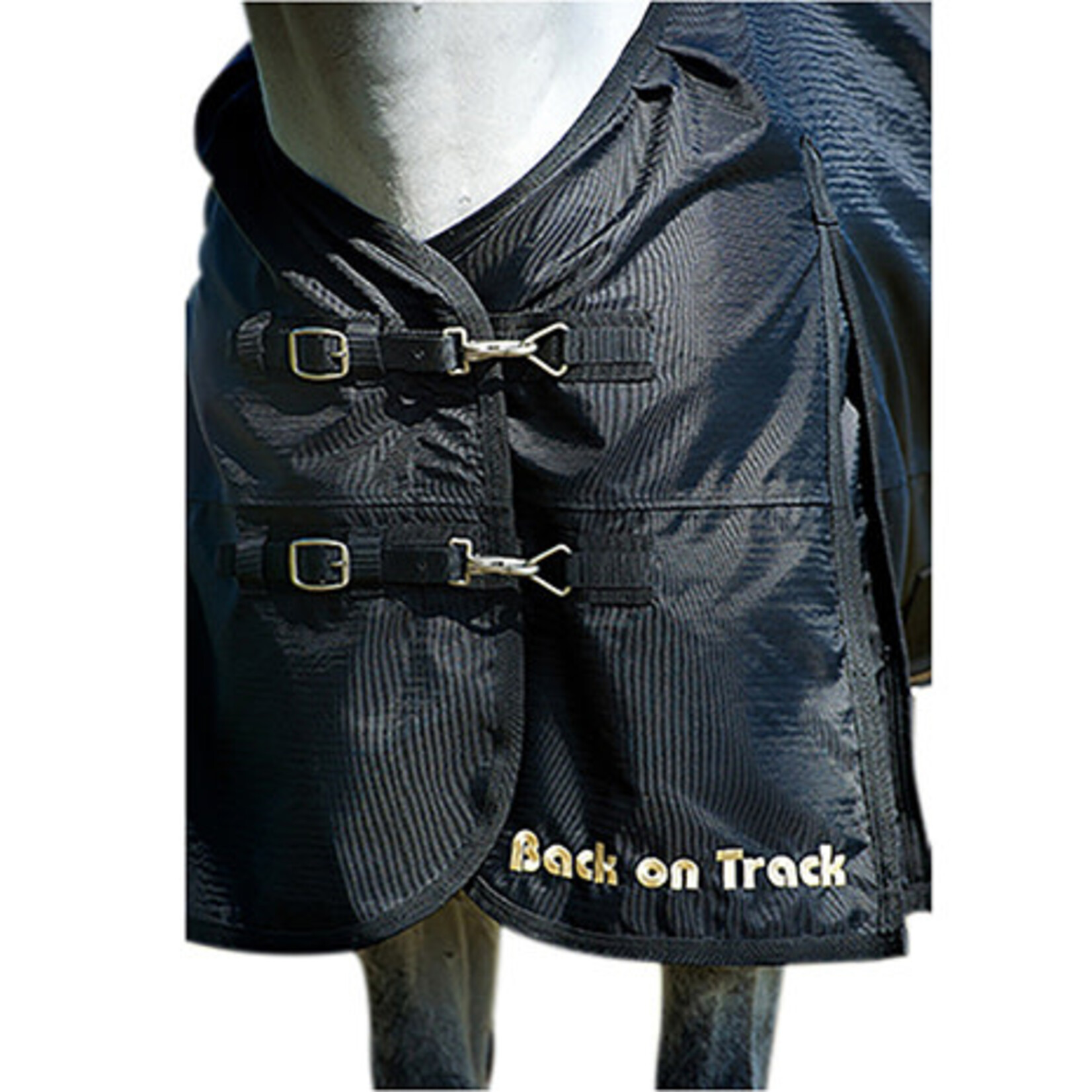 Back on Track 2142 Back On Track Classic Turnout Sheet