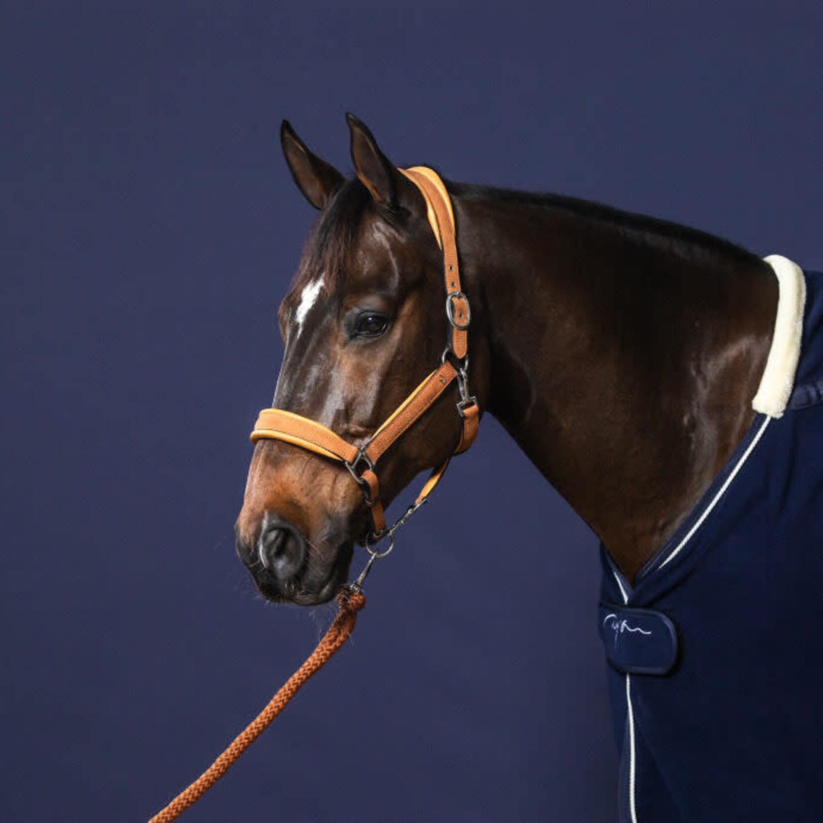 Dy'on NE10A Dy'on New English Collection Lead Rope with Removable Snap