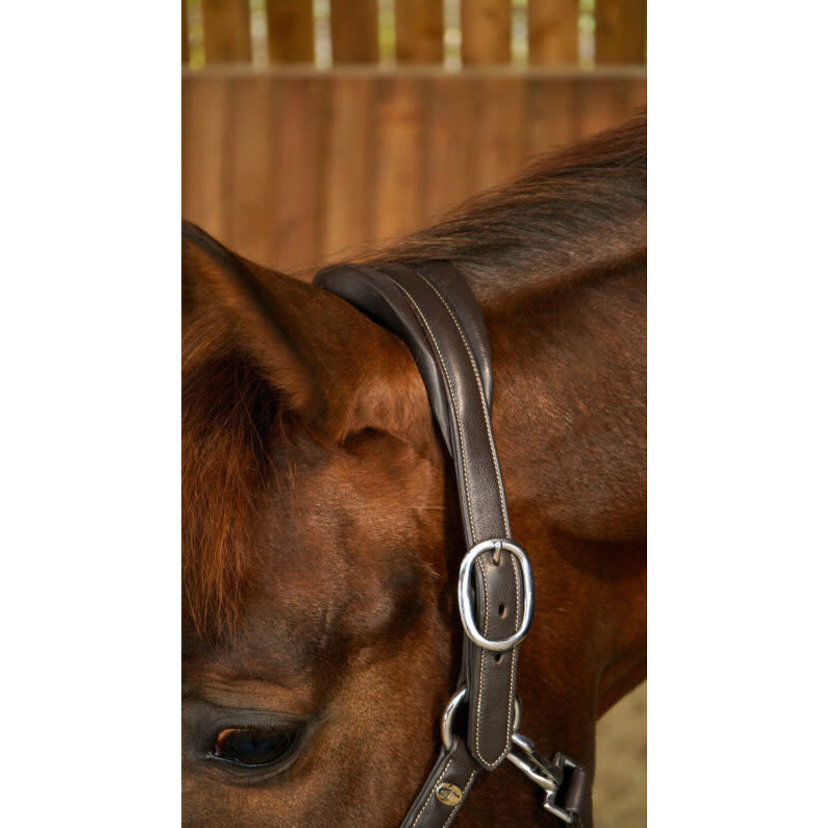 Dy'on WO09A Dy'on Buffalo Leather halter with padded headpiece and padded, fancy stitched noseband. Cream stitching