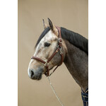 Dy'on WO09A Dy'on Buffalo Leather halter with padded headpiece and padded, fancy stitched noseband. Cream stitching