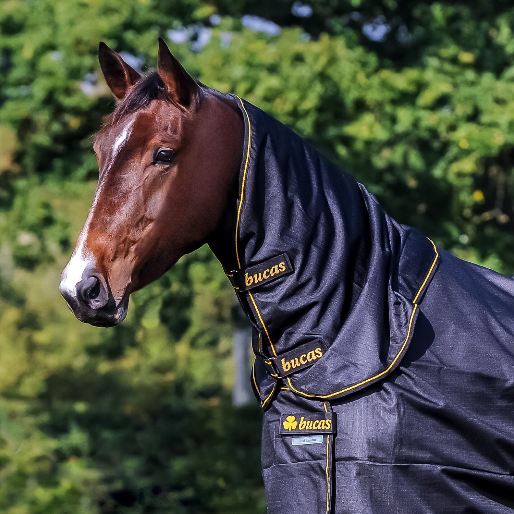 Bucas 92-1023 Bucas Irish Combi Neck