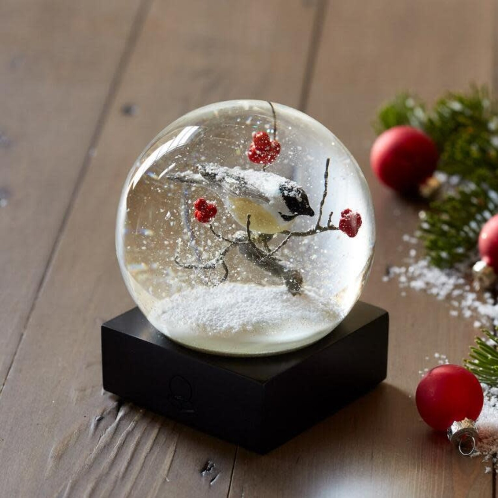 Snow Globes- the perfect housewarming gift for the holidays!