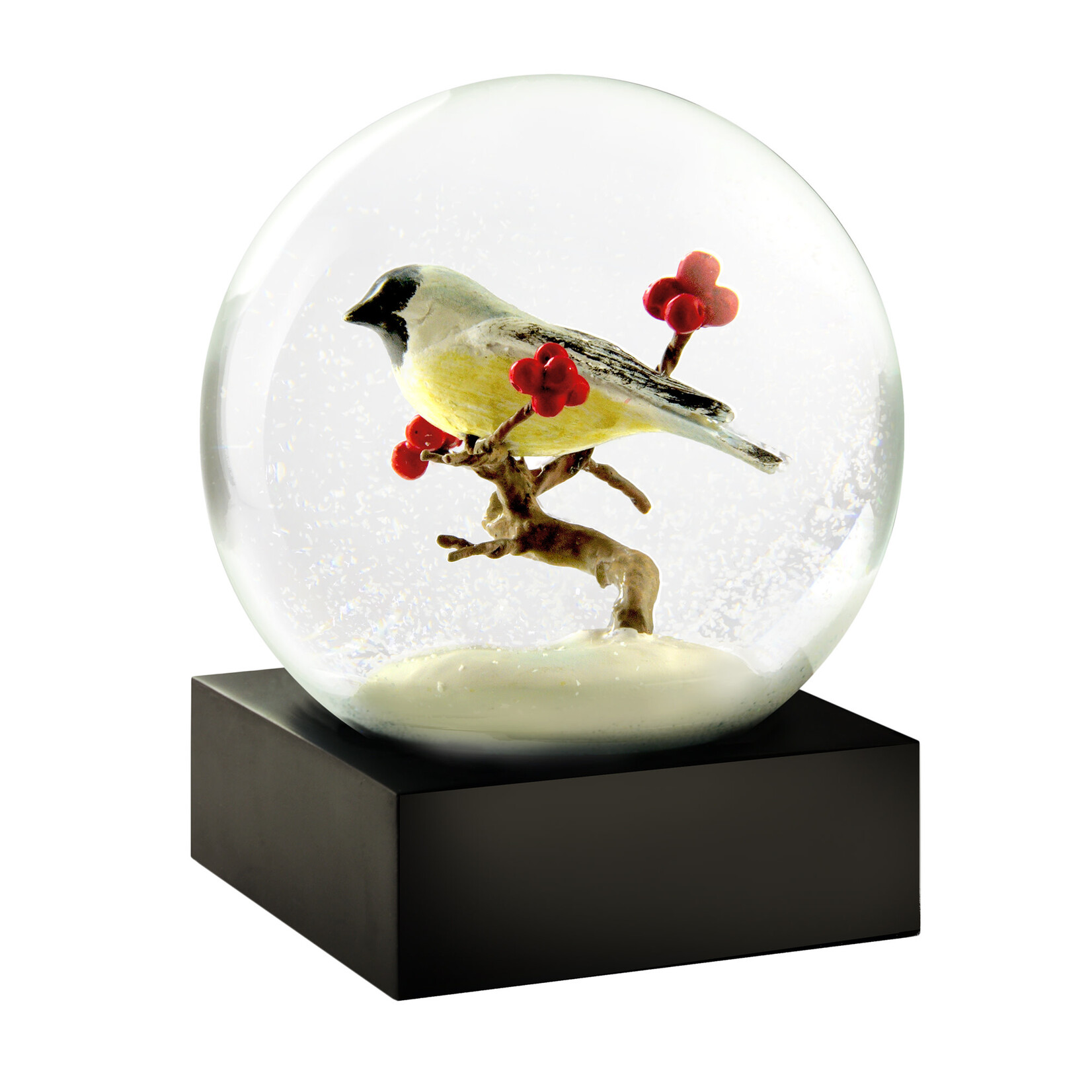 Snow Globes- the perfect housewarming gift for the holidays!
