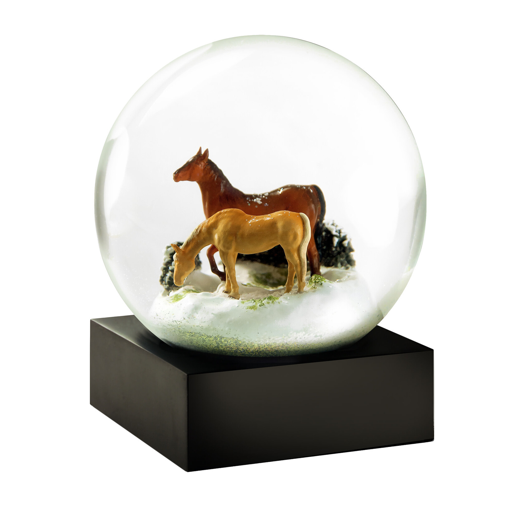 Snow Globes- the perfect housewarming gift for the holidays!