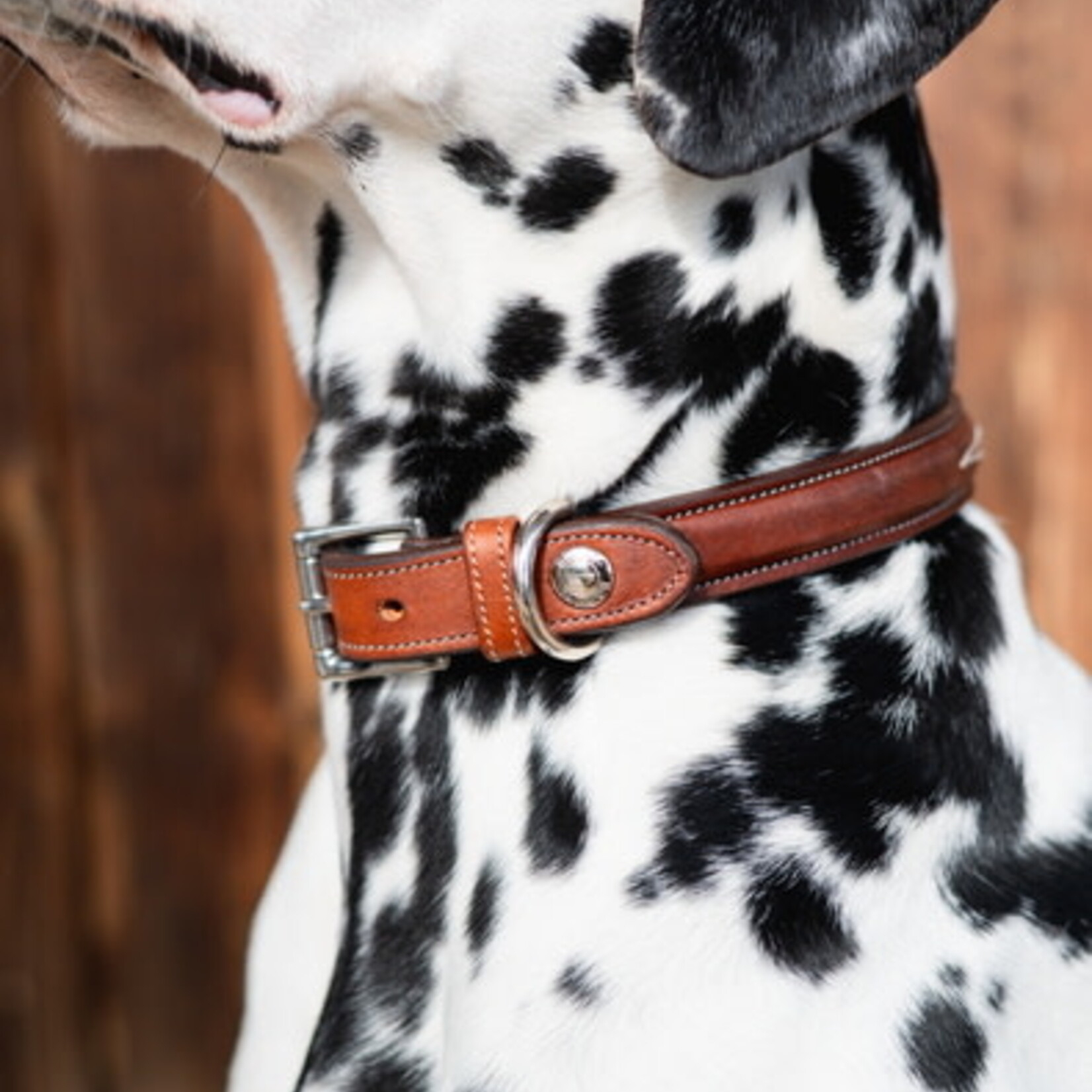 Butet Butet Dog Collar