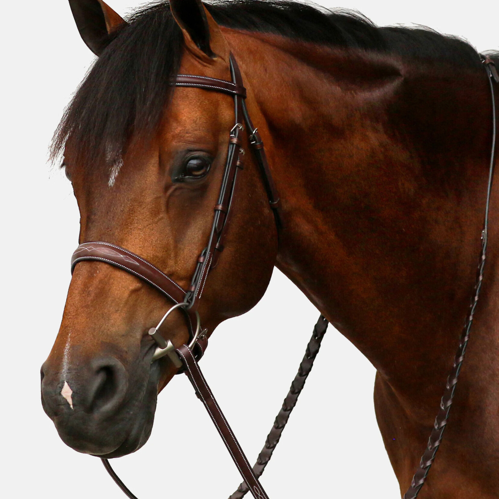 Equiline BJ150 Equiline Scott Stewart Hunter Bridle