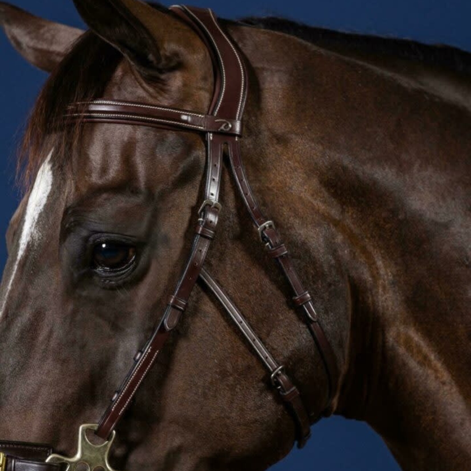 Dy'on USFADX Dy'on US Collection Hackamore Bridle Headpiece with Steel Hardware