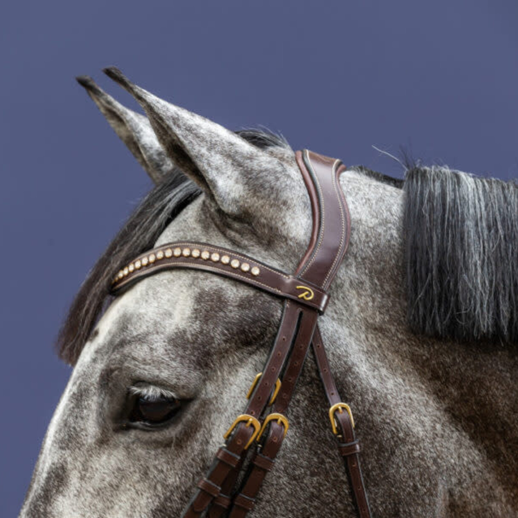 Dy'on DY02F Dy'on Collection White Swarovski V-Shaped Browband with Cream Stitching **Browband only** Nickel Emblem