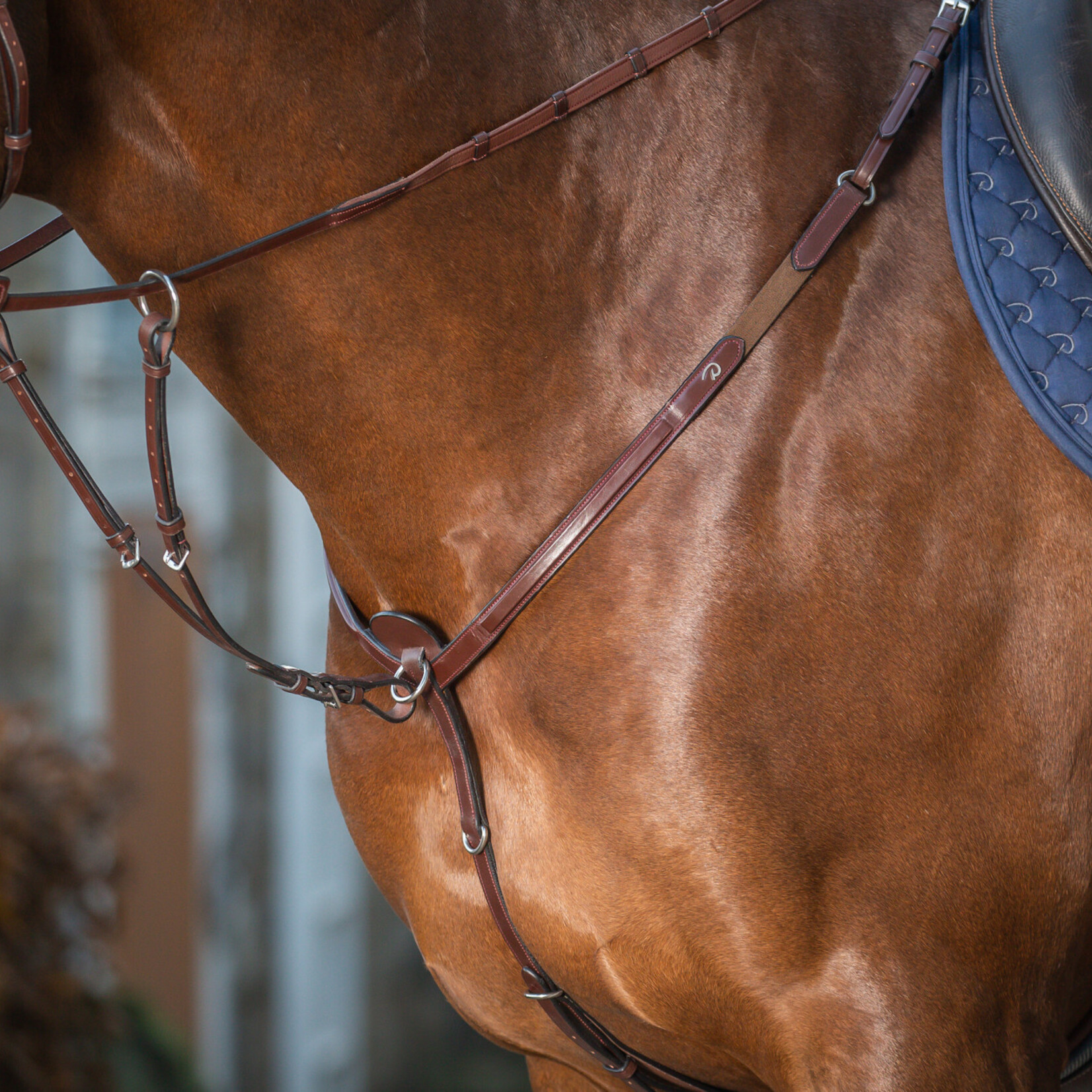 Dy'on NE07A Dy’on New English Running Martingale Attachment