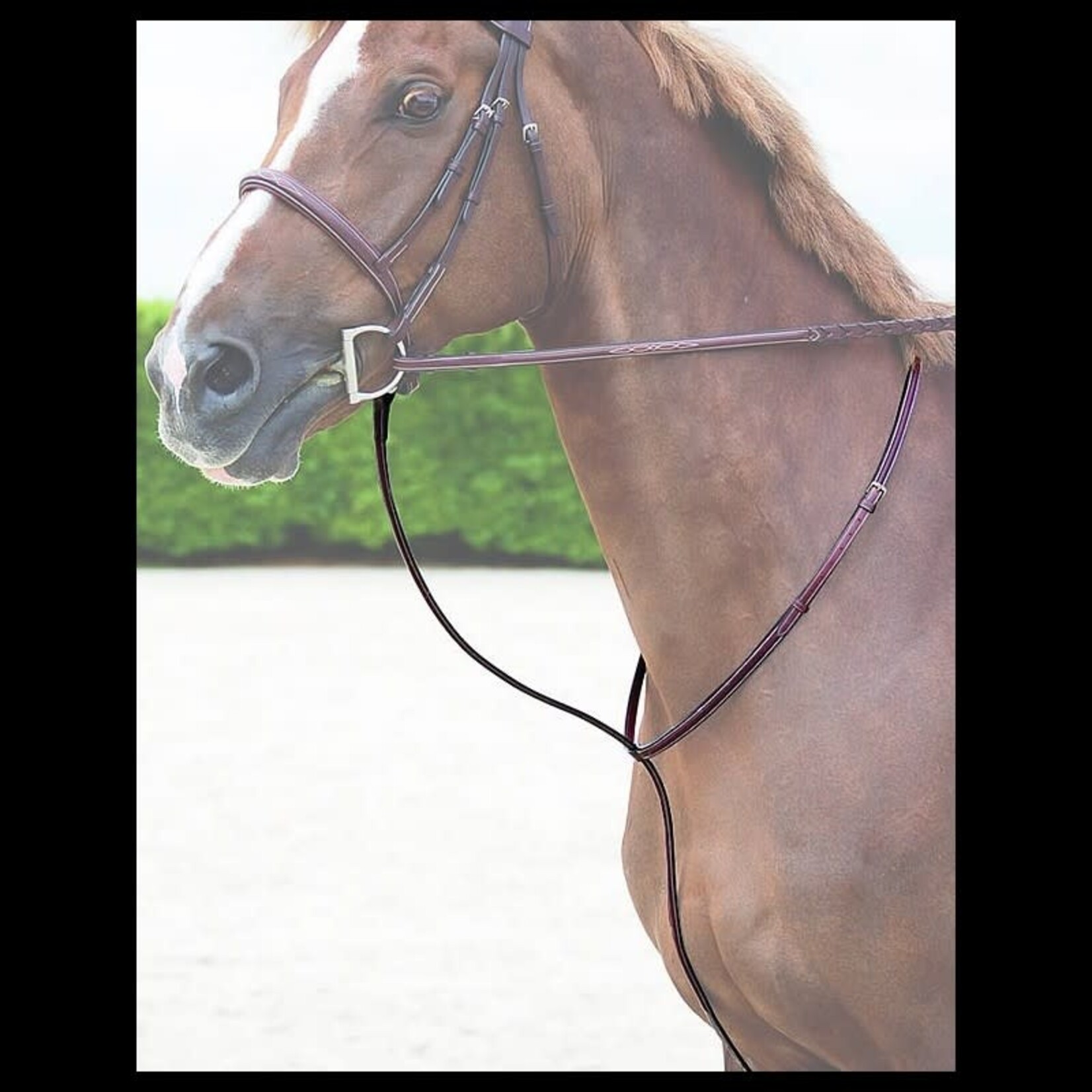 Dy'on US07H Dy’on Hunter Collection Standing Martingale