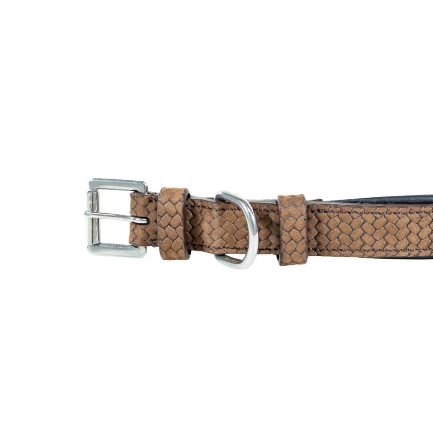 Dy'on DC31C Basket Dog Collar M/L