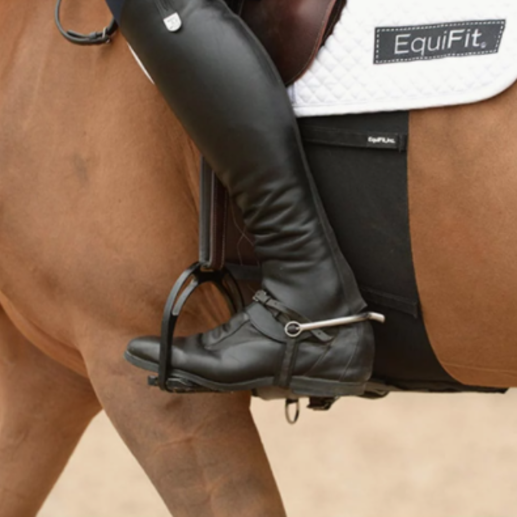 Equifit Equifit BellyBand