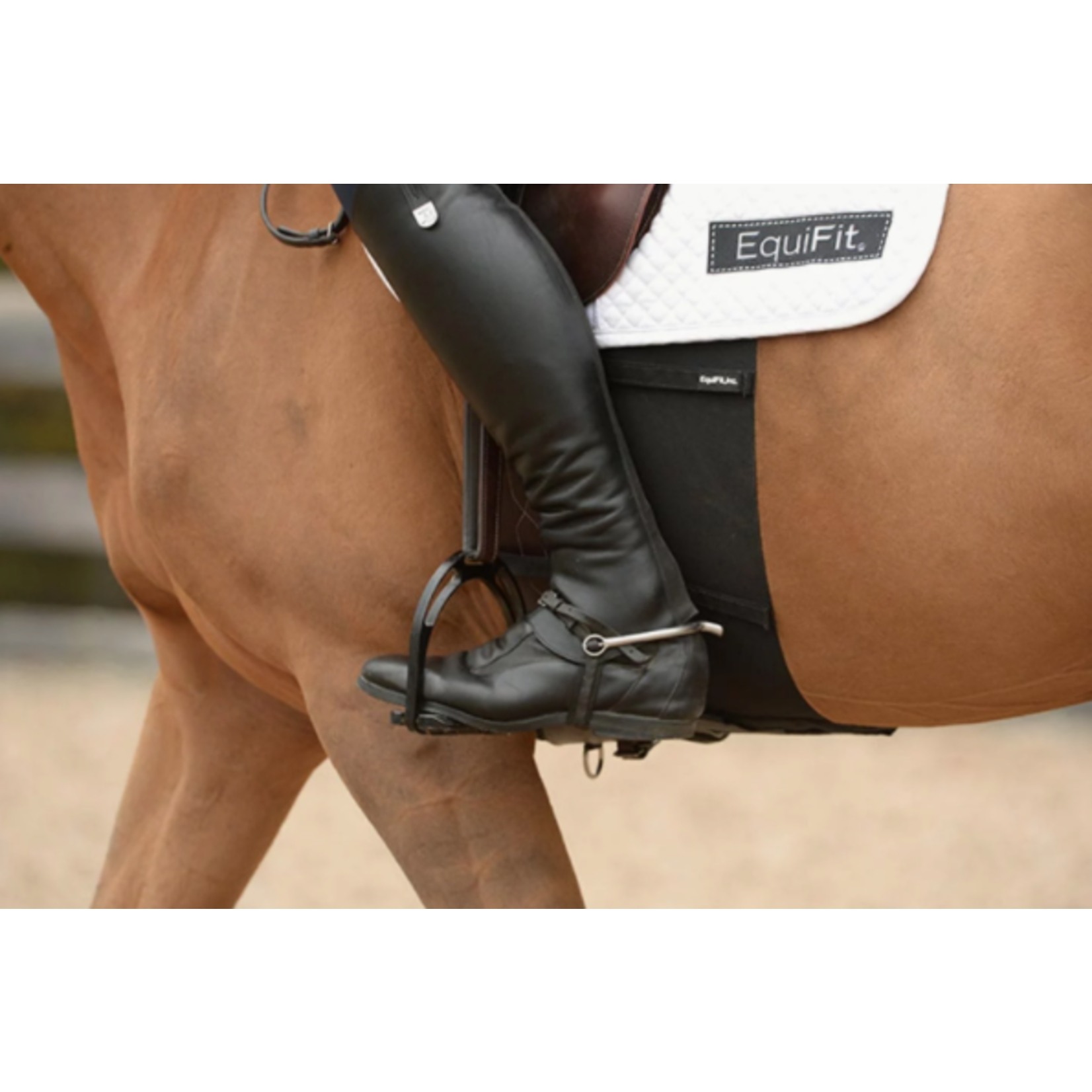 Equifit BellyBand