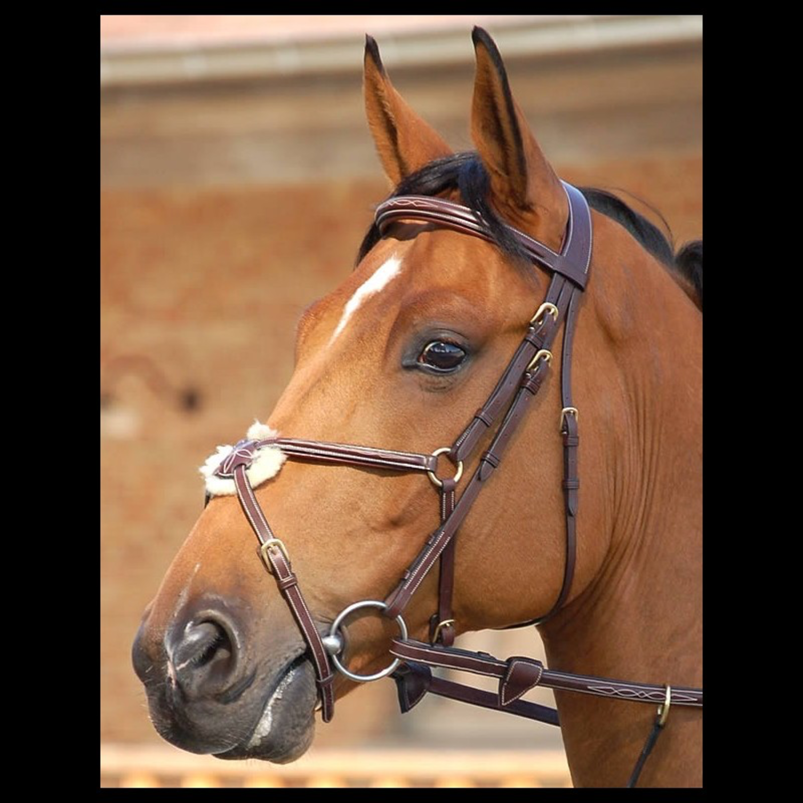 Dy'on DYAAAC Dy'on Figure 8 Noseband Bridle, Fancy Stitched, Slightly Raised and Padded, Cream Stitching w/Brass Hardware