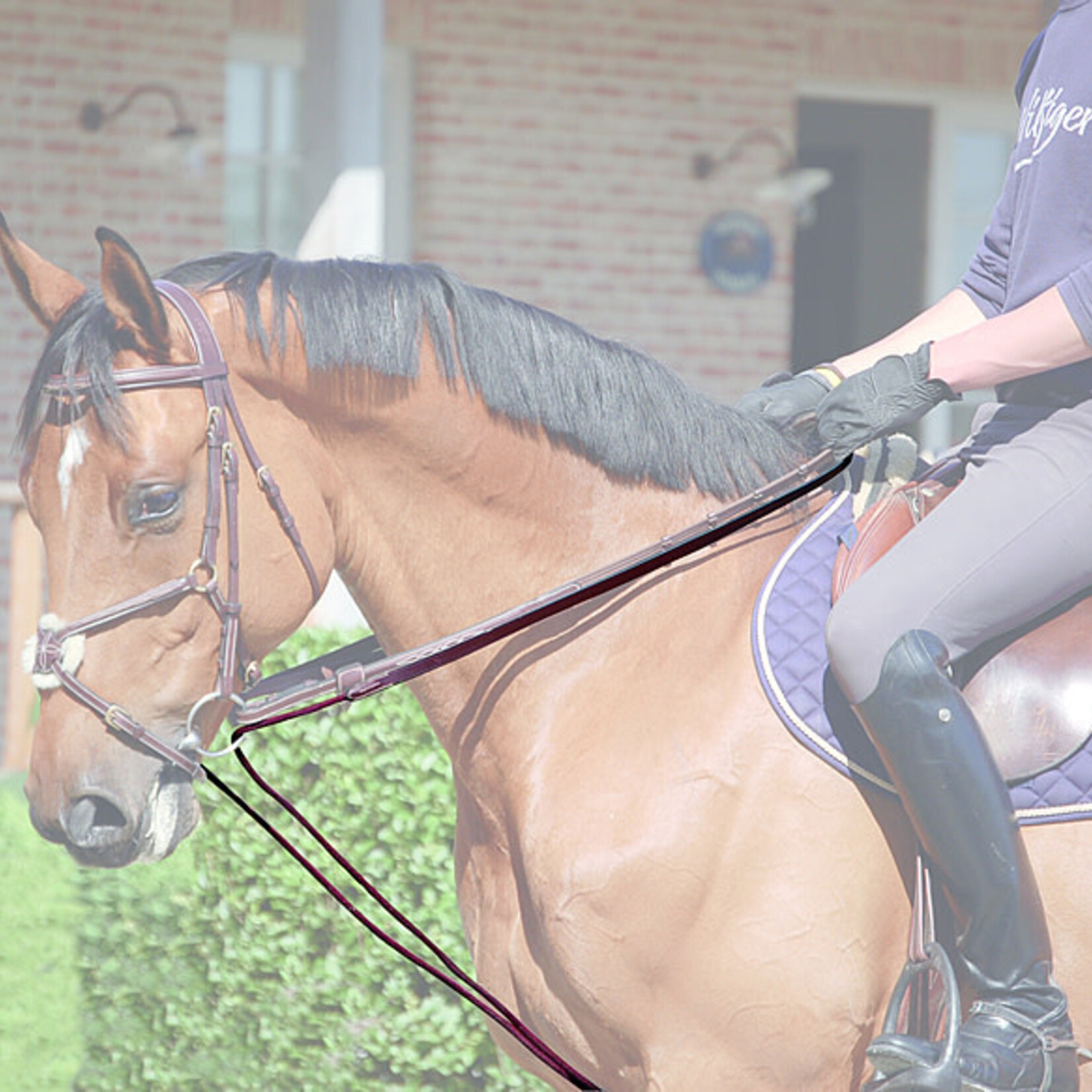 Dy'on WO08B Dy’on Working Collection Leather & Rope Draw Reins, Cream Stitching, Steel Hardware, Removable leather girth loop