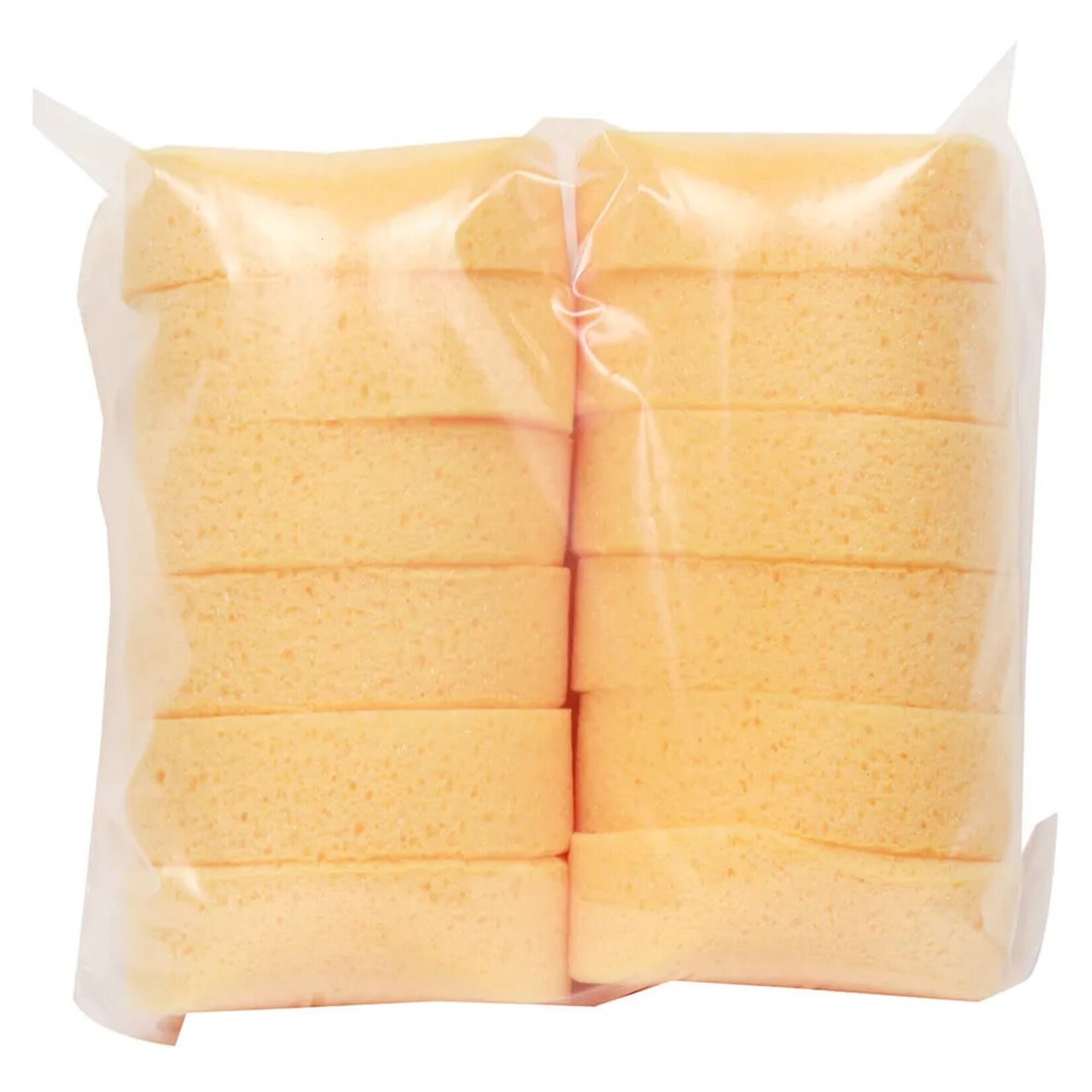 RJ MATTHEWS 12232 12 Pack Mini Hydra Sponges