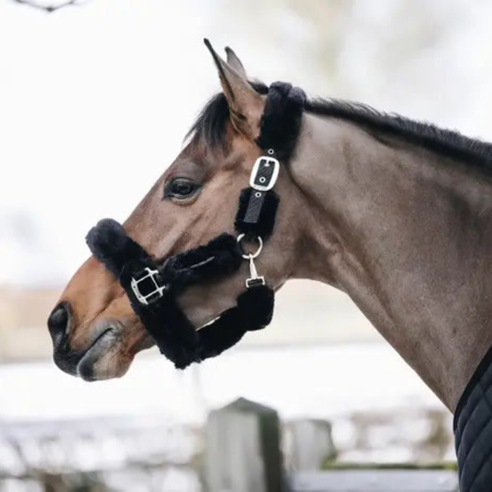 42502 Kentucky Sheepskin Shipping Halter