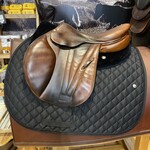 Butet #15 868 Consigned Butet Jumping Saddle,  Integrated Premium, 17" L (Semi Flat Seat), 2 Flap, STD TREE, Gold, includes 56" Butet Lined Stirrup Leathers & Jin Stirrups ($550 value), includes cover
