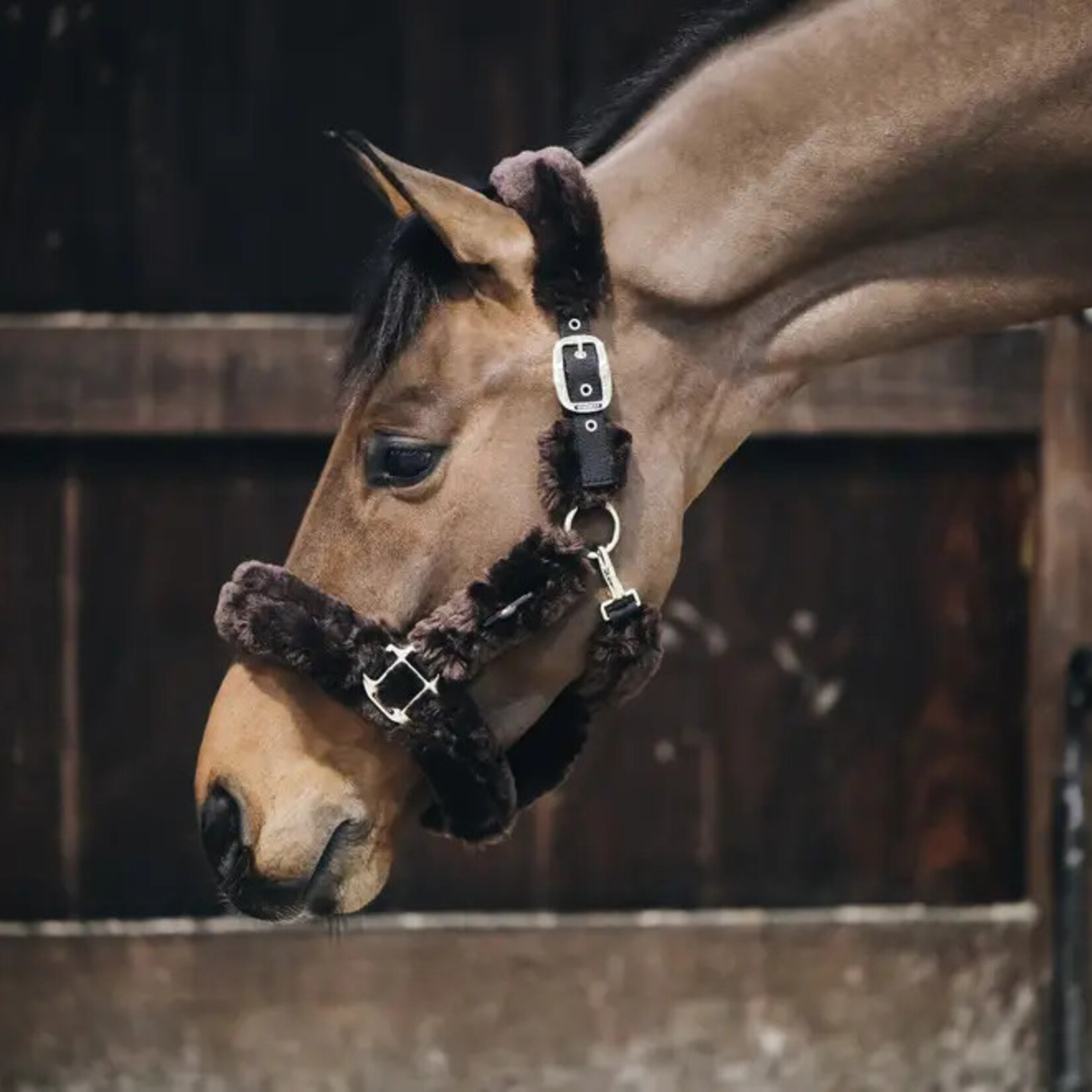 42502 Kentucky Sheepskin Shipping Halter