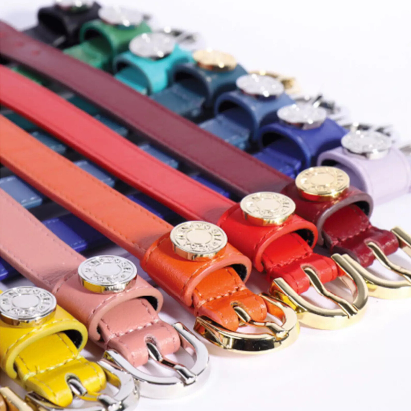 Vogel Vogel Rainbow Bracelets