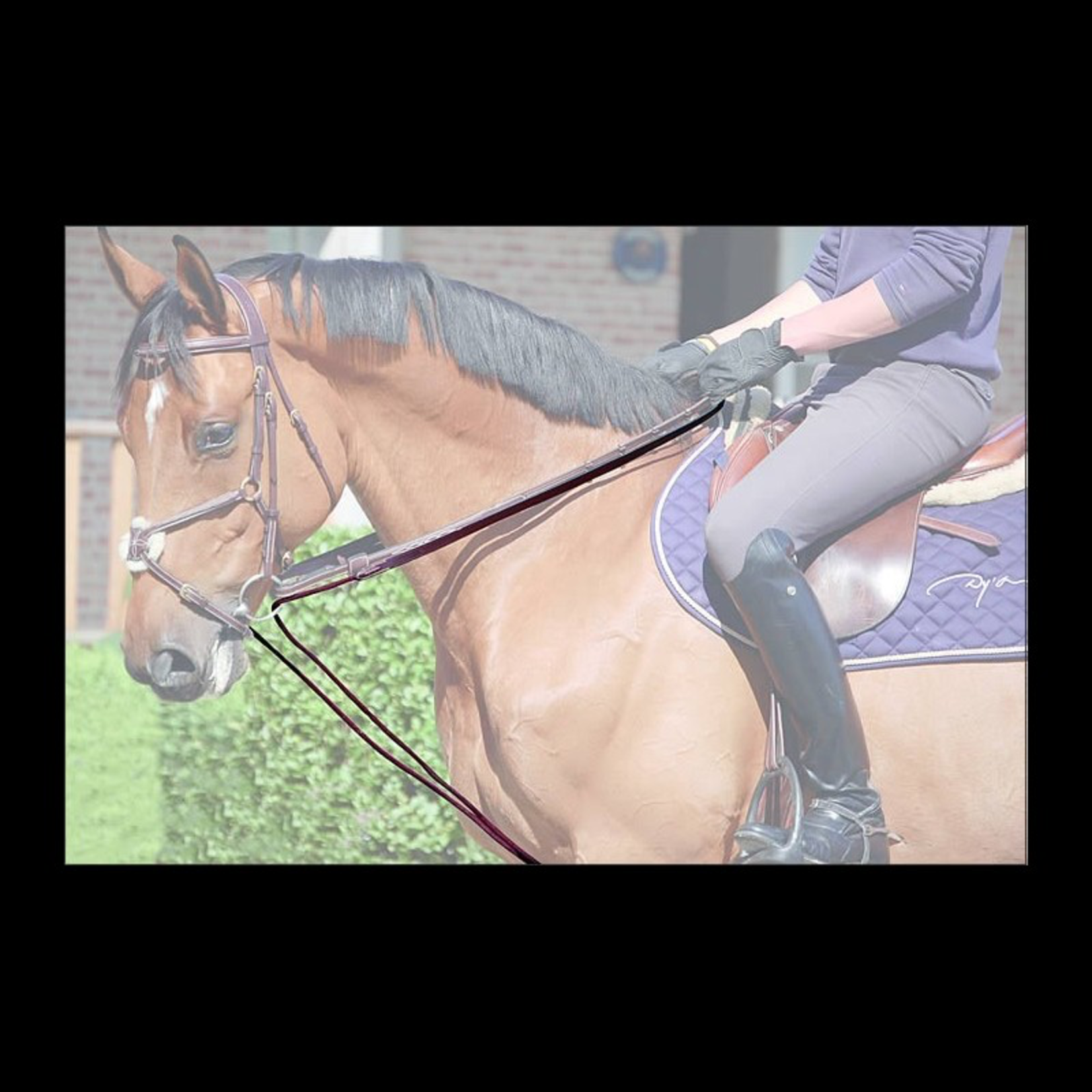 Dy'on Dy'on D-Collection 5/8" Leather/Nylon Draw Reins