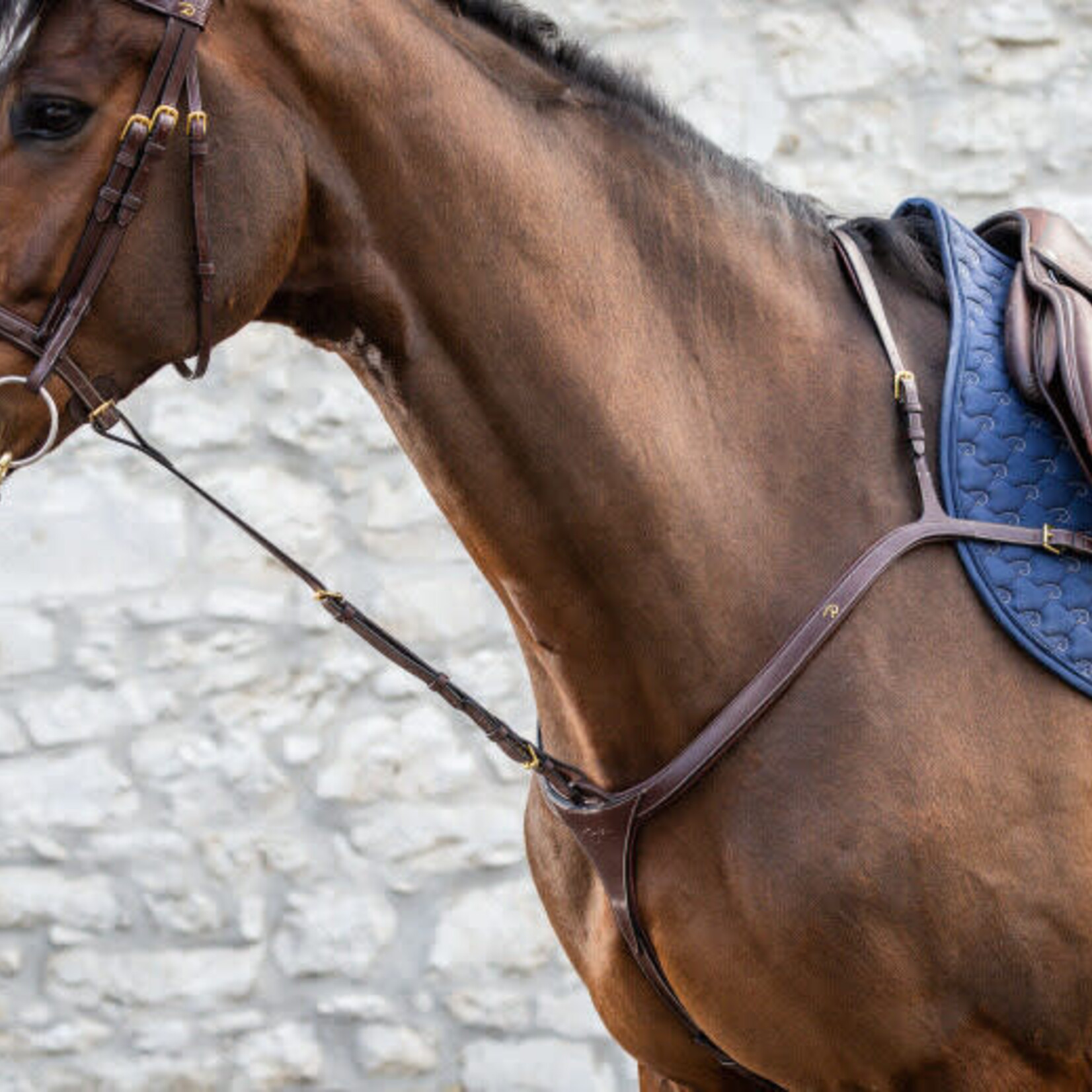 Dy'on DY07E Dy’On Standing Martingale Attachment w/ Brass Hardware