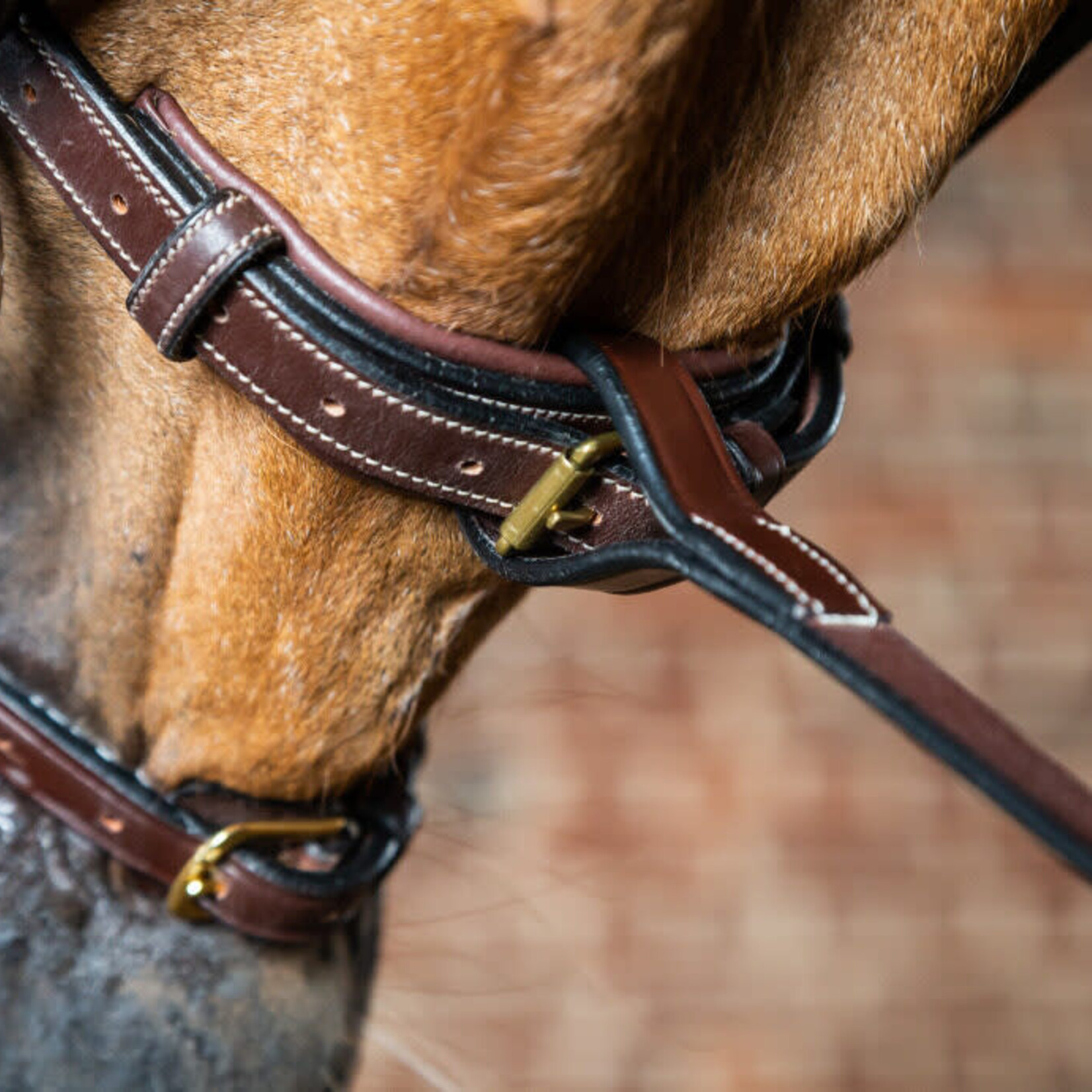 Dy'on DY07E Dy’On Standing Martingale Attachment w/ Brass Hardware