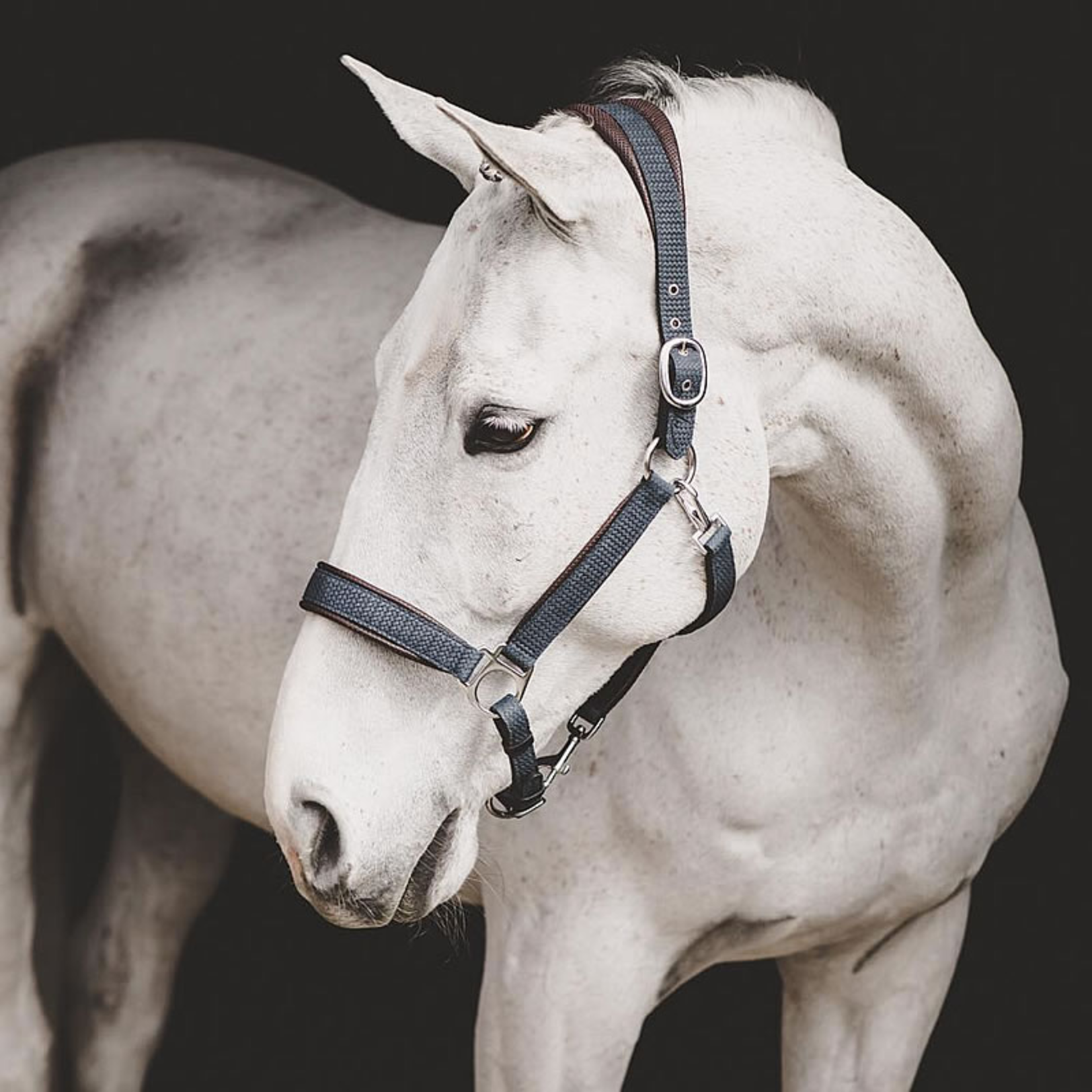Dy'on NE09A Dy'on Leather Halter