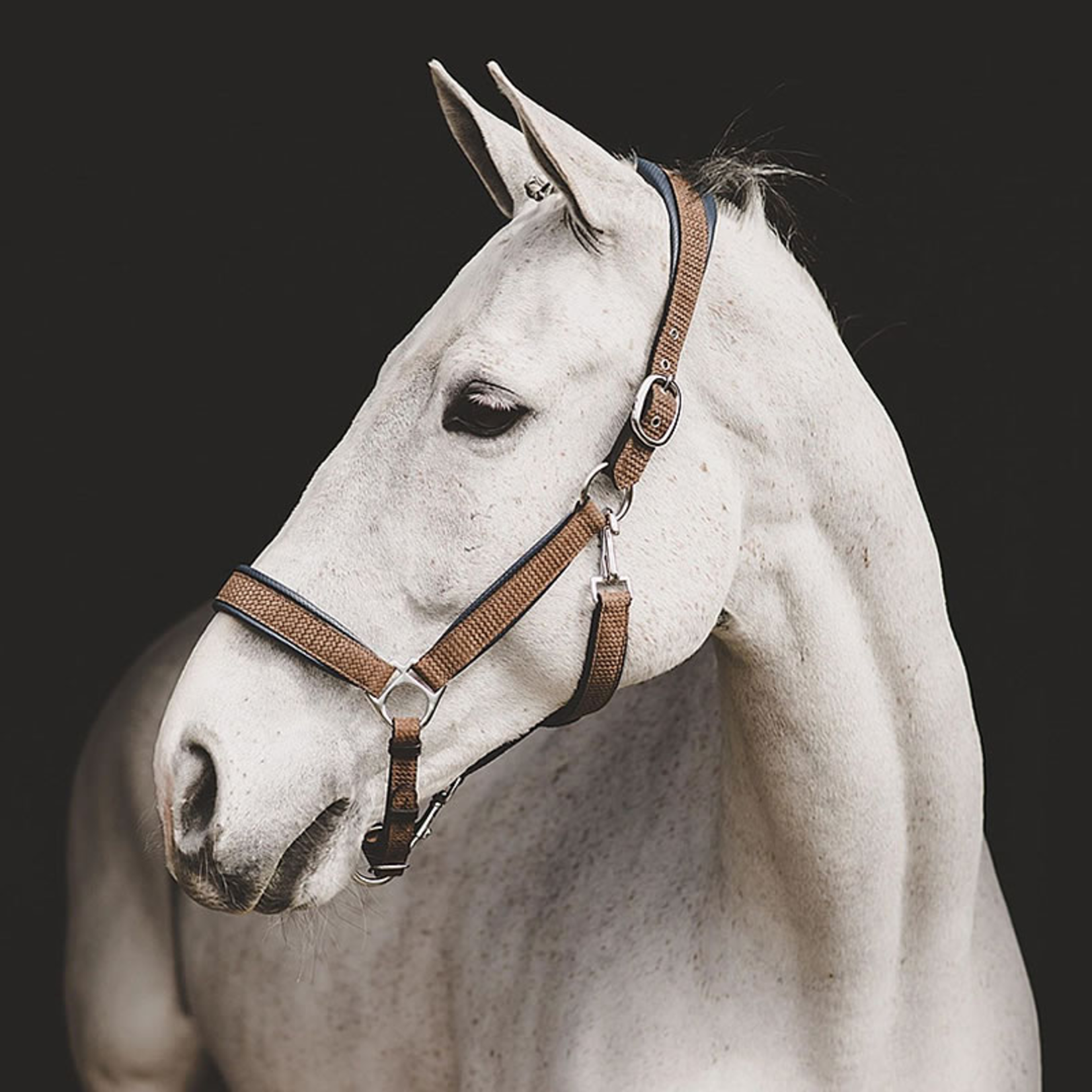 Dy'on NE09A Dy'on Leather Halter