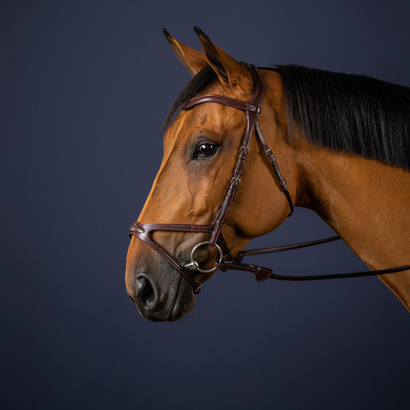 Dy'on NECCCD X-Fit Anatomic Bridle, Ergonomic noseband to limit the pressure points. Matching colour stitching. Stainless steel buckles.