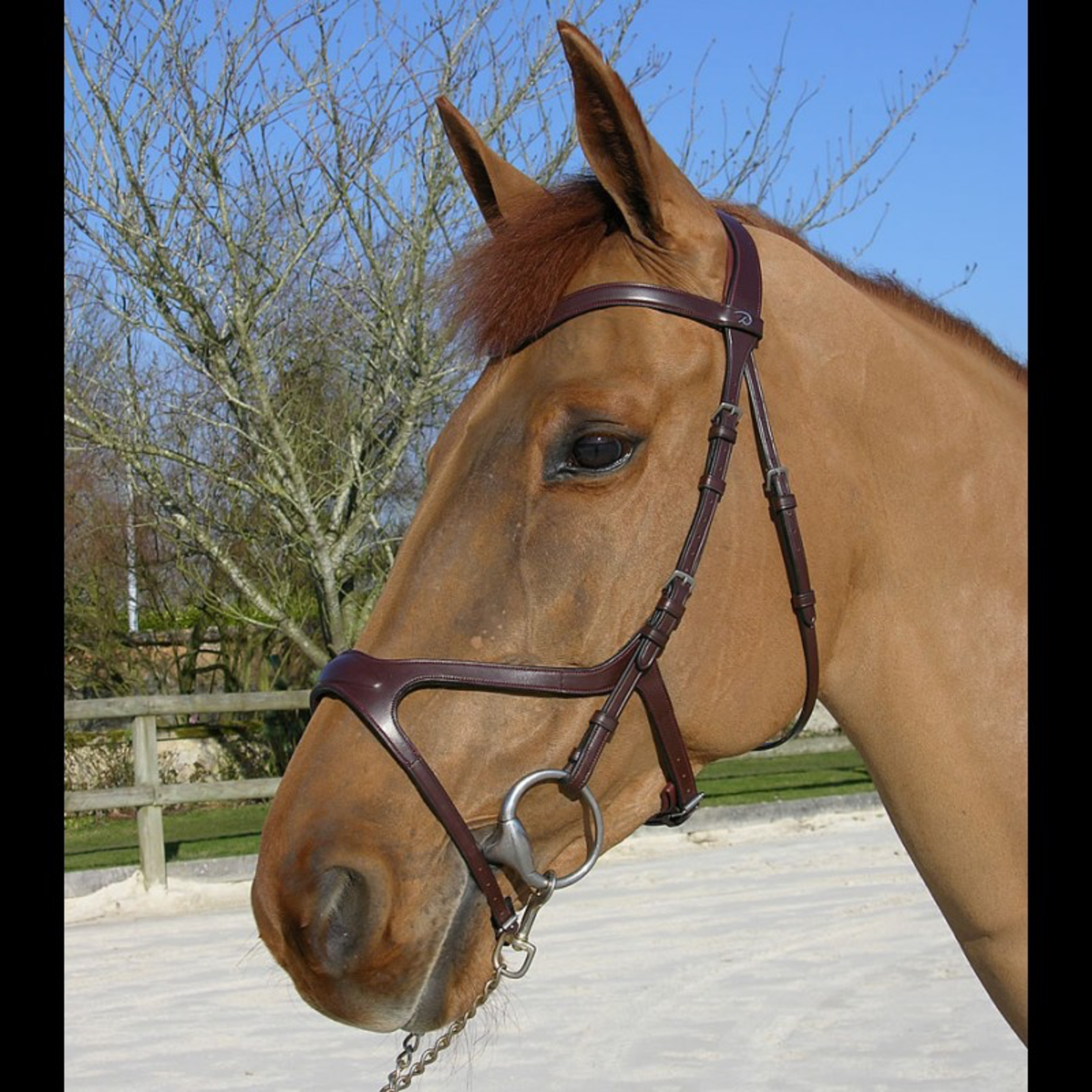 Dy'on NECCCD X-Fit Anatomic Bridle, Ergonomic noseband to limit the pressure points. Matching colour stitching. Stainless steel buckles.