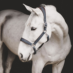 Halters & Leads