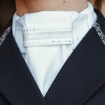 Stock Ties