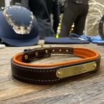 Dog Collars & Leads