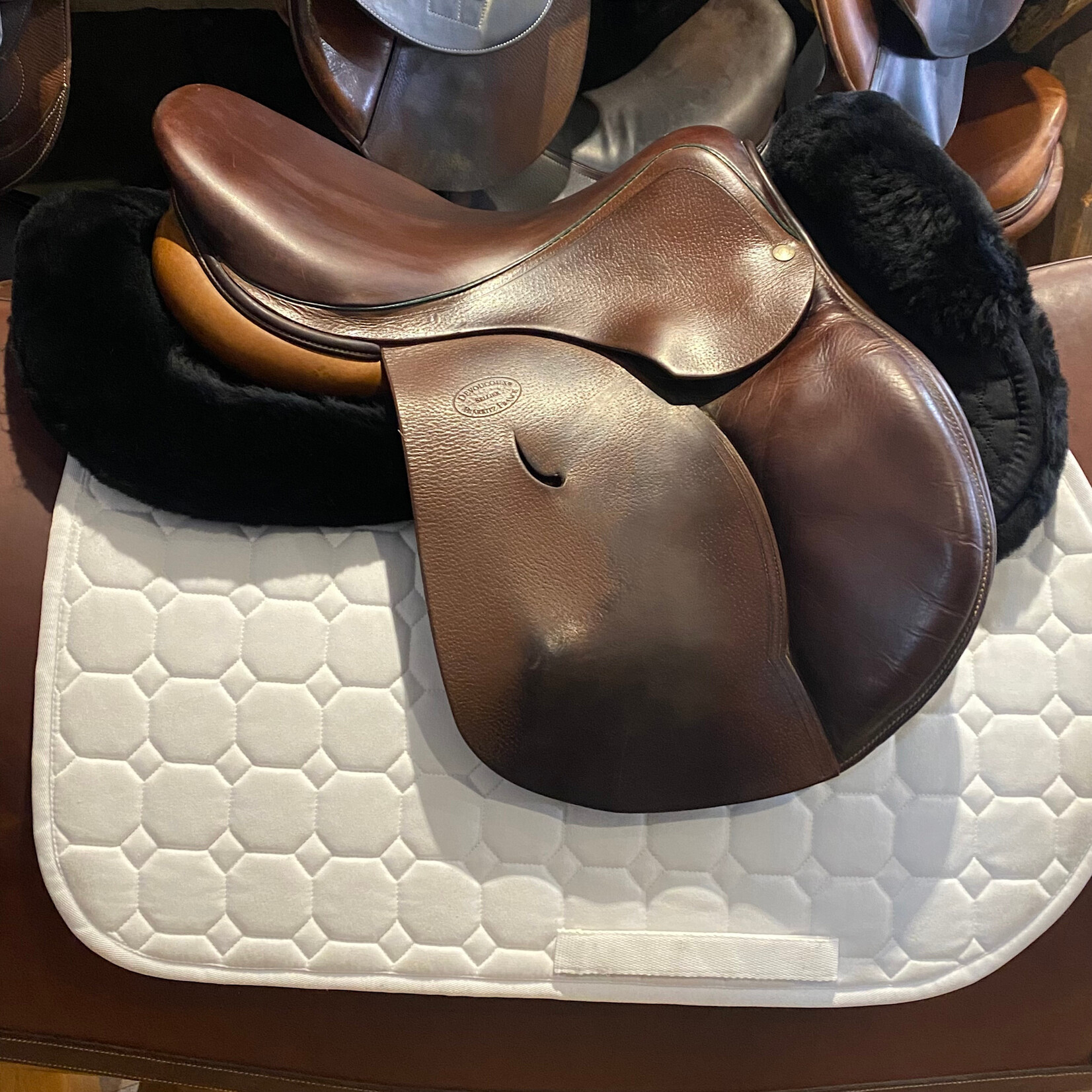 Devoucoux #269 12 Consigned Devoucoux Haurra 2 Jumping Saddle , 16.5" seat, 0A flap (Short/Forward), D3D, cover included
