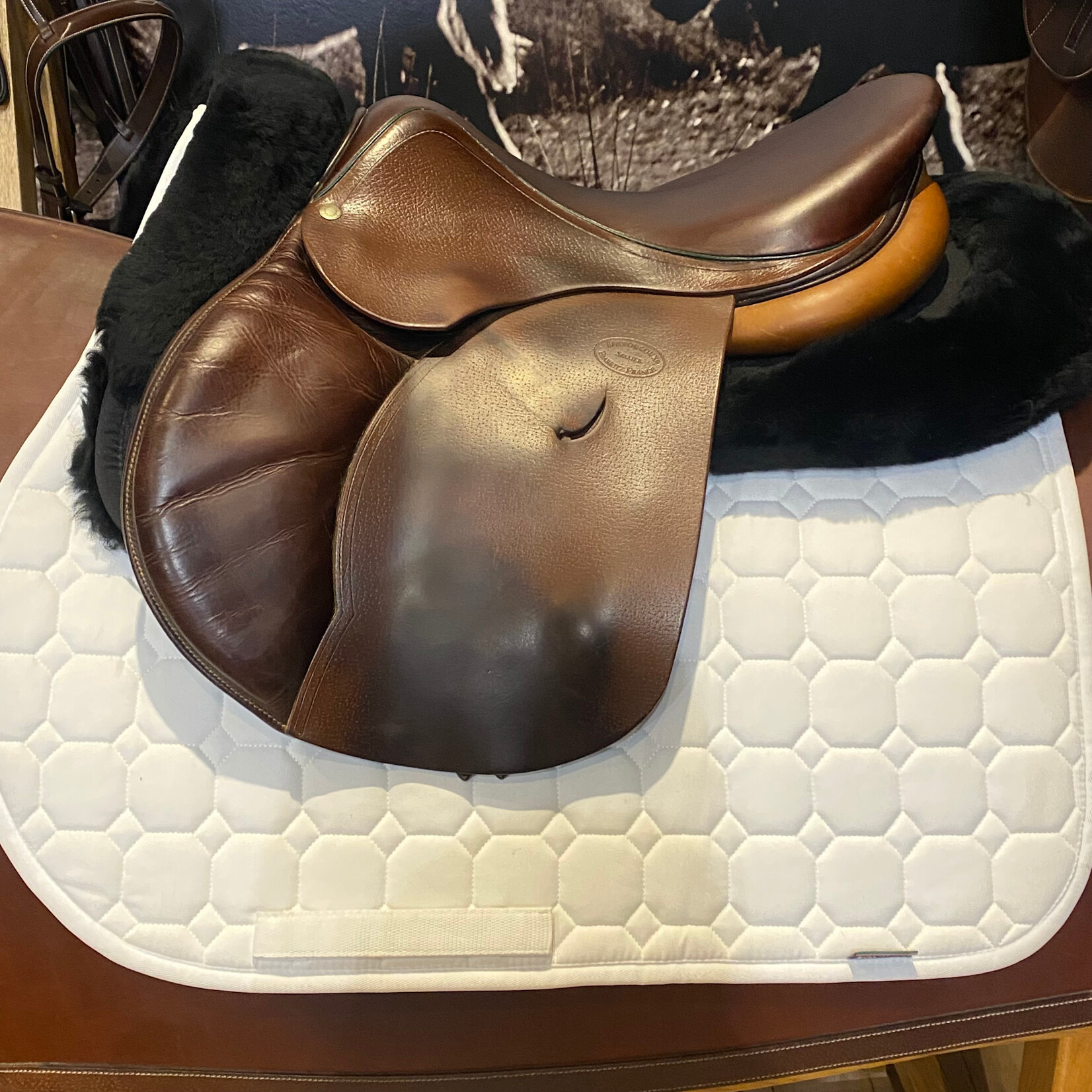 Devoucoux #269 12 Consigned Devoucoux Haurra 2 Jumping Saddle , 16.5" seat, 0A flap (Short/Forward), D3D, cover included