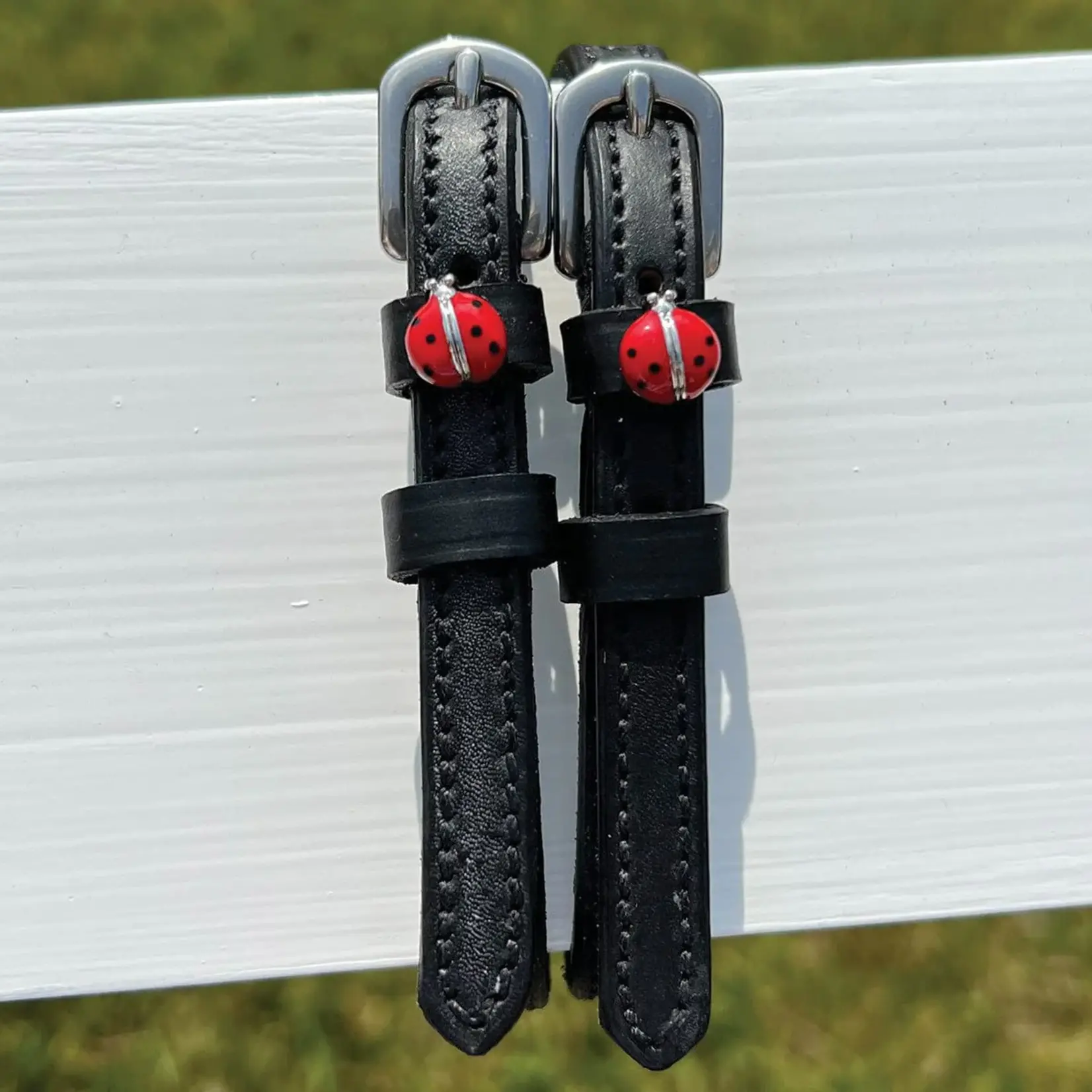Dreamers & Schemers Black Spur Strap Smooth, 17”