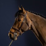 Dy'on DYAAAH Dy'on Double Noseband Bridle, Fancy Stitched, Slightly Raised and Padded,  Removable Flash & Connector, Cream Stitching, Brass Hardware