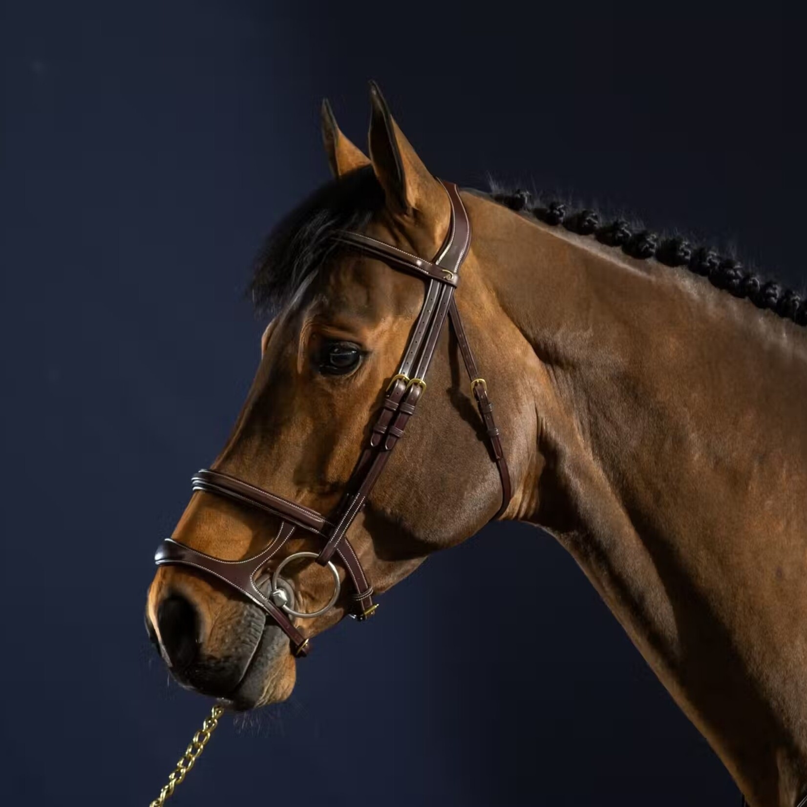 Dy'on DYAAAH Dy'on Double Noseband Bridle, Fancy Stitched, Slightly Raised and Padded,  Removable Flash & Connector, Cream Stitching, Brass Hardware