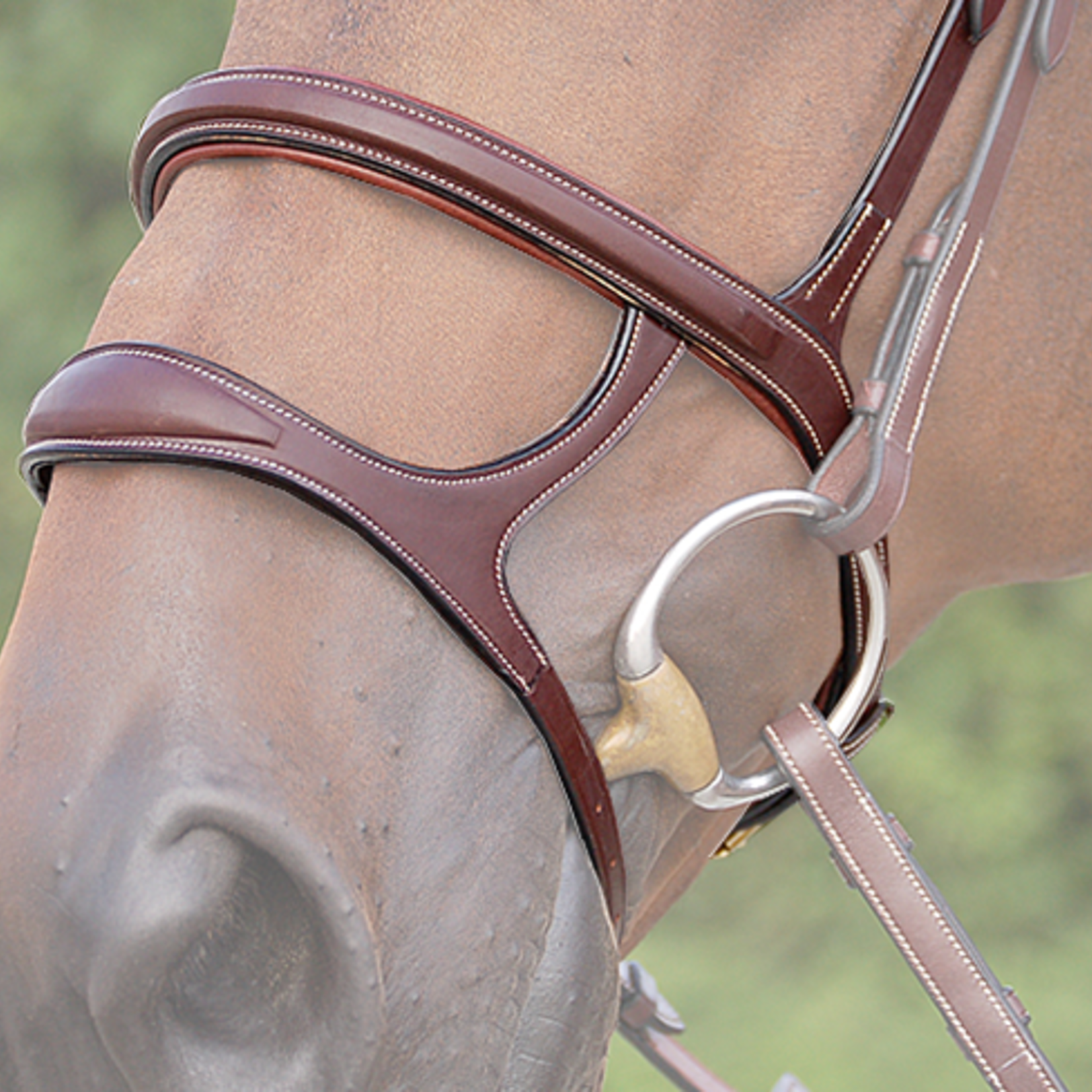 Dy'on DY04H  Dy’on Double Noseband, Brass Hardware, matches Anatomical Collection
