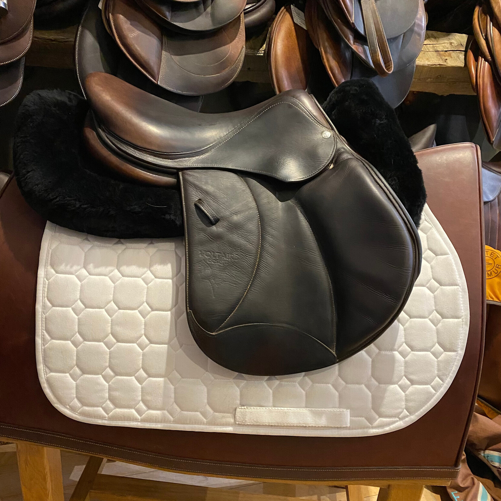 Voltaire #3568 16 Consigned Voltaire Jumping Palm Beach, 16.5”, 2A flap, Pro Panels, includes Voltaire cover