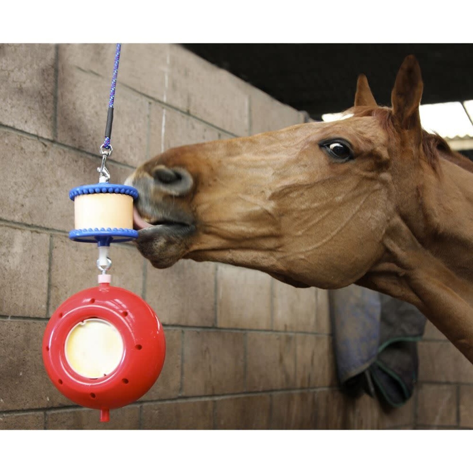 Likit 18535 Likit Boredom Breaker, includes a Likit Holder & Robust Ball w/ Inserts for 2 Little Likits